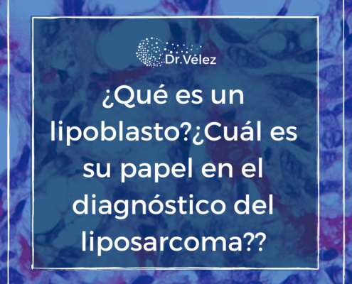 qué es un lipoblasto